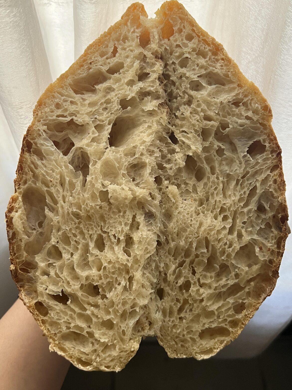 My first sourdough bread (used ap flour)