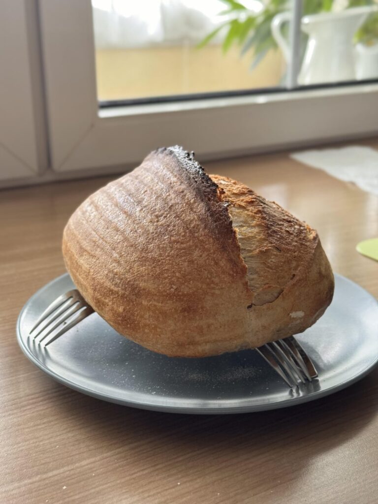 After half a year I am getting the hang of it. After half a year I am getting the hang of it.