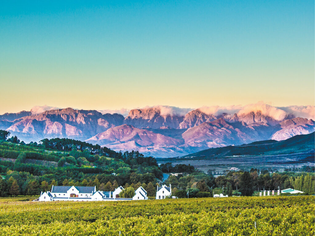 South African growers report ‘exceptional’ quality harvest for 2025