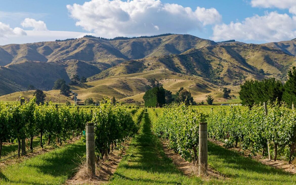 Yahoo lifestyle home