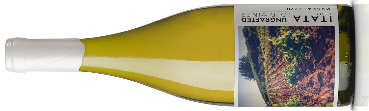 De Martino Ungrafted Muscat, Itata Valley, Chile €23-24