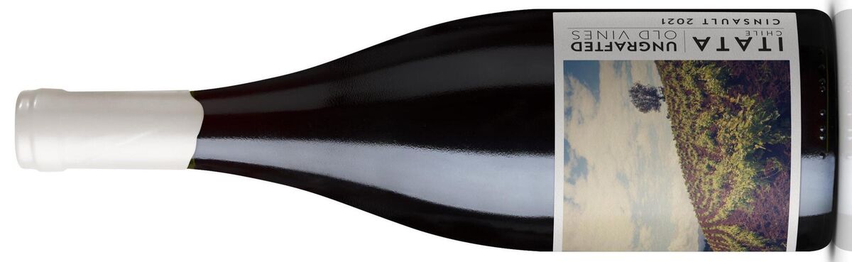 De Martino Ungrafted Muscat, Itata Valley, Chile €23-24