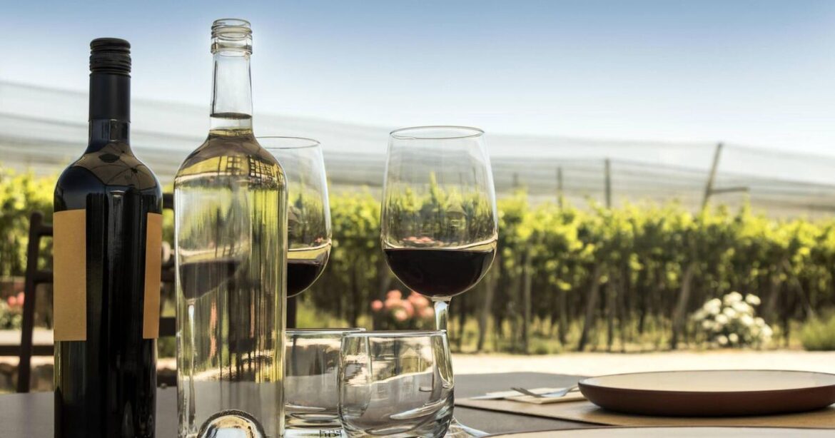 Three of my favourite Chilean wines to buy in Ireland