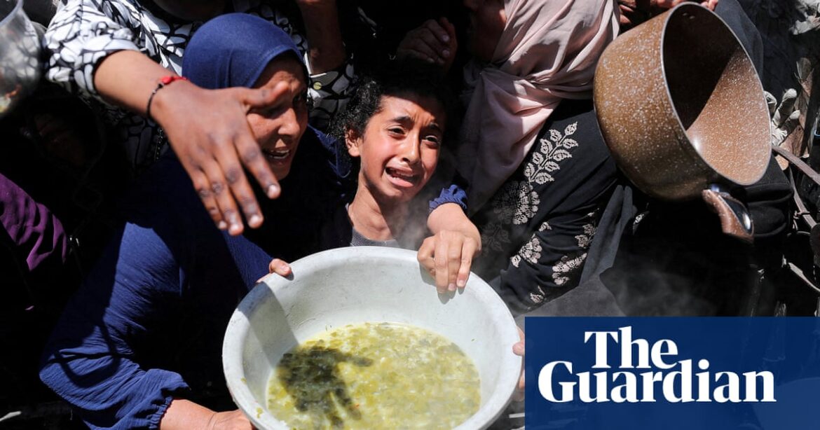 Food security experts warn Gaza at ‘critical risk of famine’ amid Israeli blockade | Gaza Food security experts warn Gaza at ‘critical risk of famine’ amid Israeli blockade | Gaza