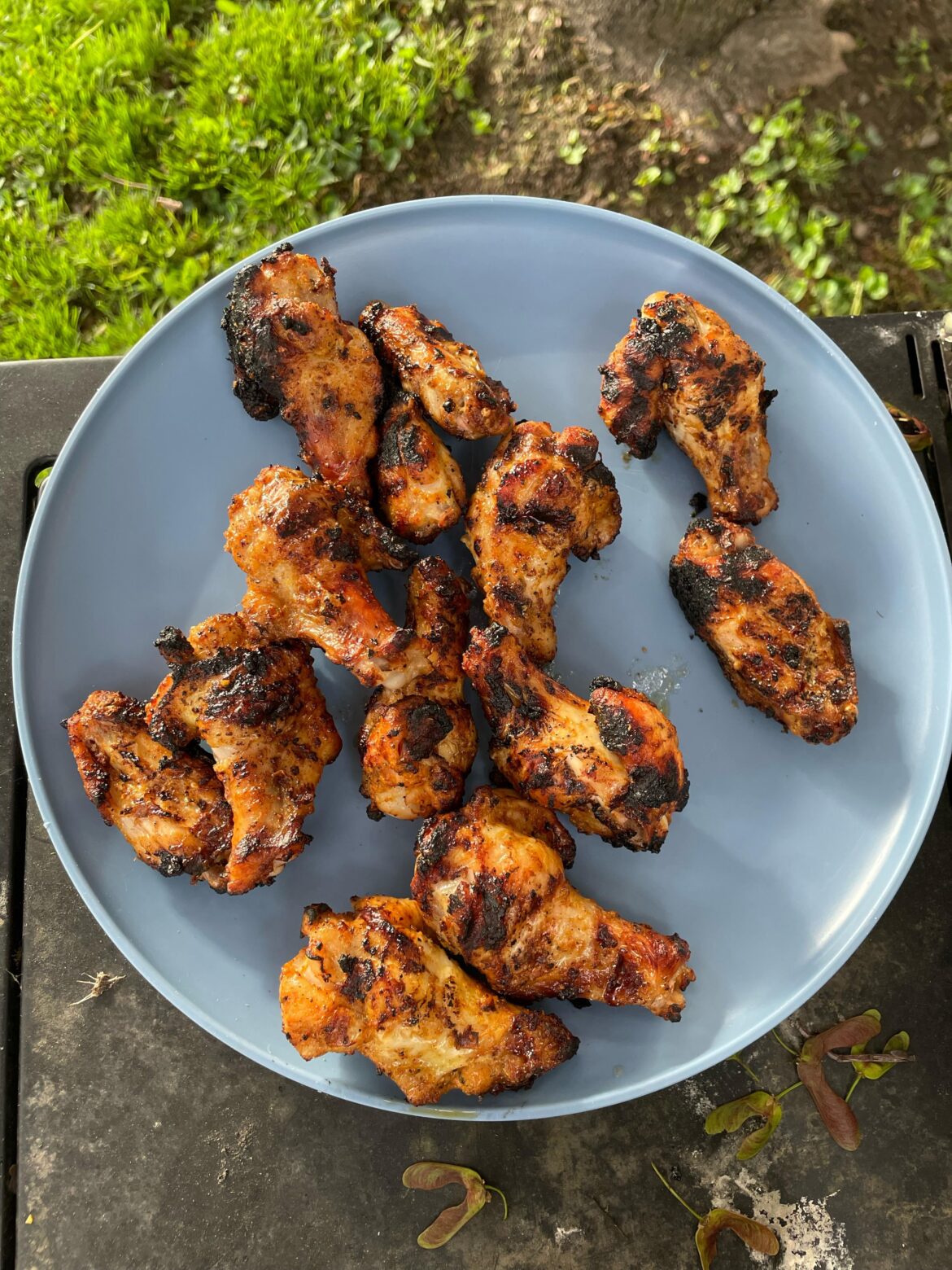 Settle the debate: Burnt or Charred?