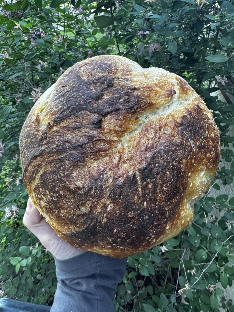 I turned 30 this year, so I figured I should learn how to make sourdough.