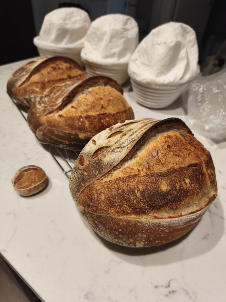 Today’s 3 loaf bake on baking steel Today's 3 loaf bake on baking steel
