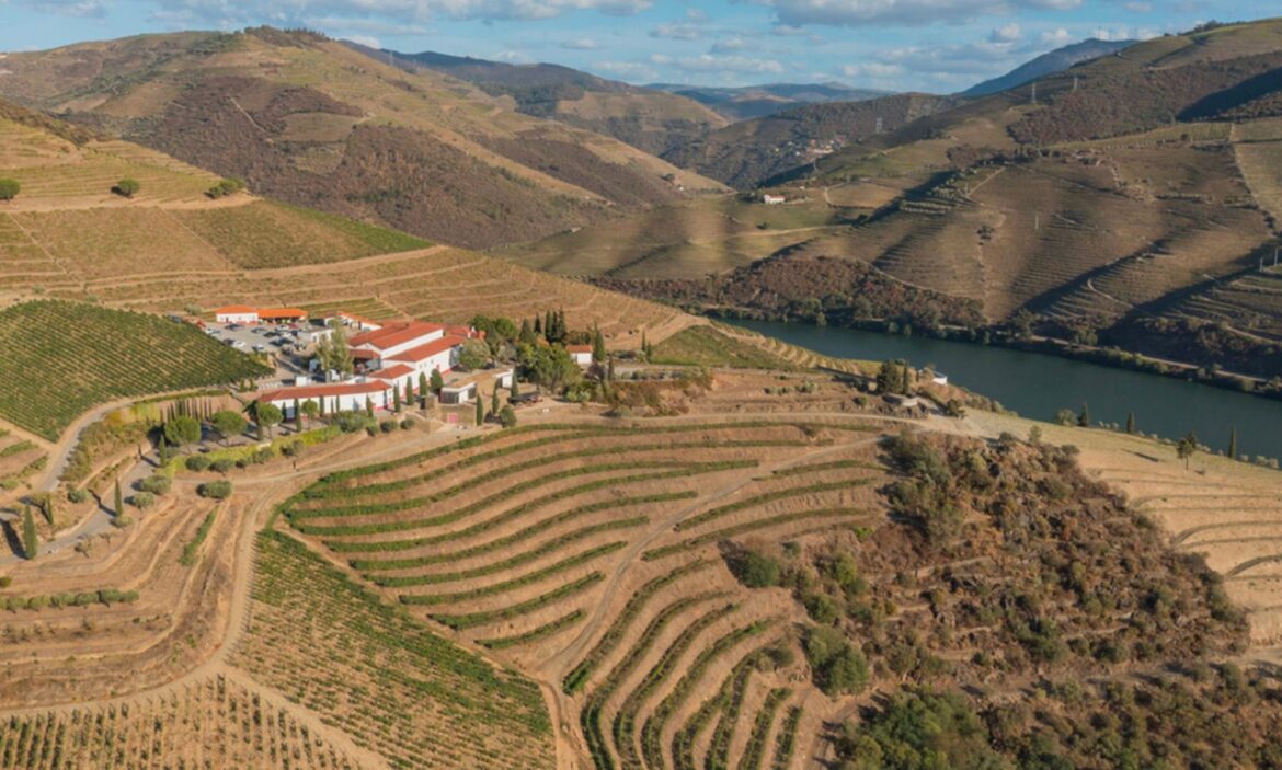 The Buyer | Luísa Amorim on applying cork principles to its sustainable wineries Luísa Amorim on applying cork principles to its sustainable wineries