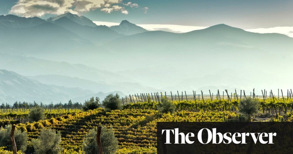 More than malbec: the diverse wines of Argentina | Wine More than malbec: the diverse wines of Argentina | Wine