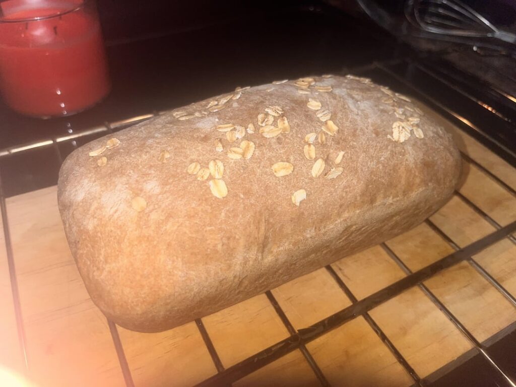 First time baking whole wheat bread !!