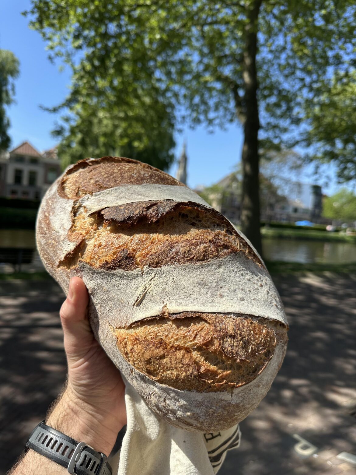 I won a local bread baking competition today!