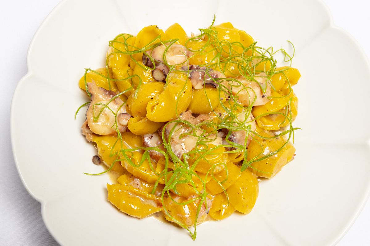 A yellow pasta with bits of octopus on a plate.