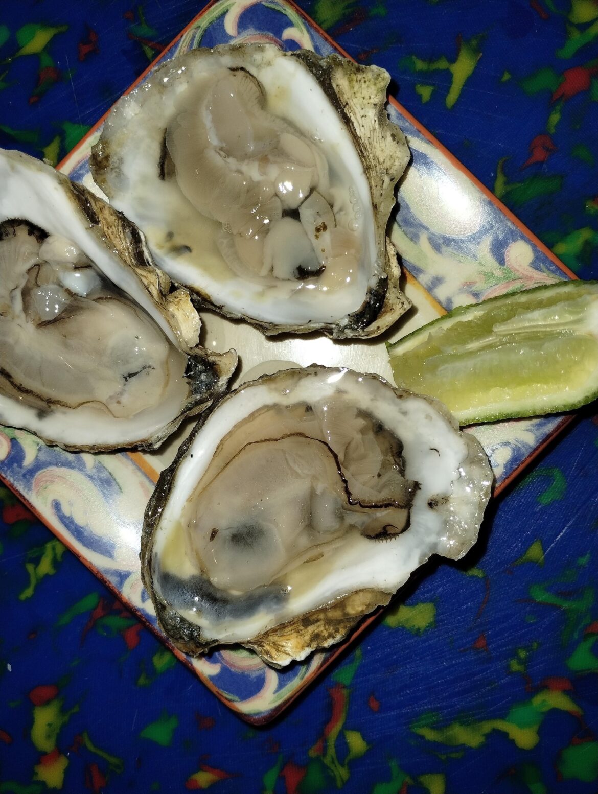 Standish shore oysters