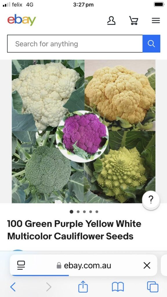 Who knew these existed?