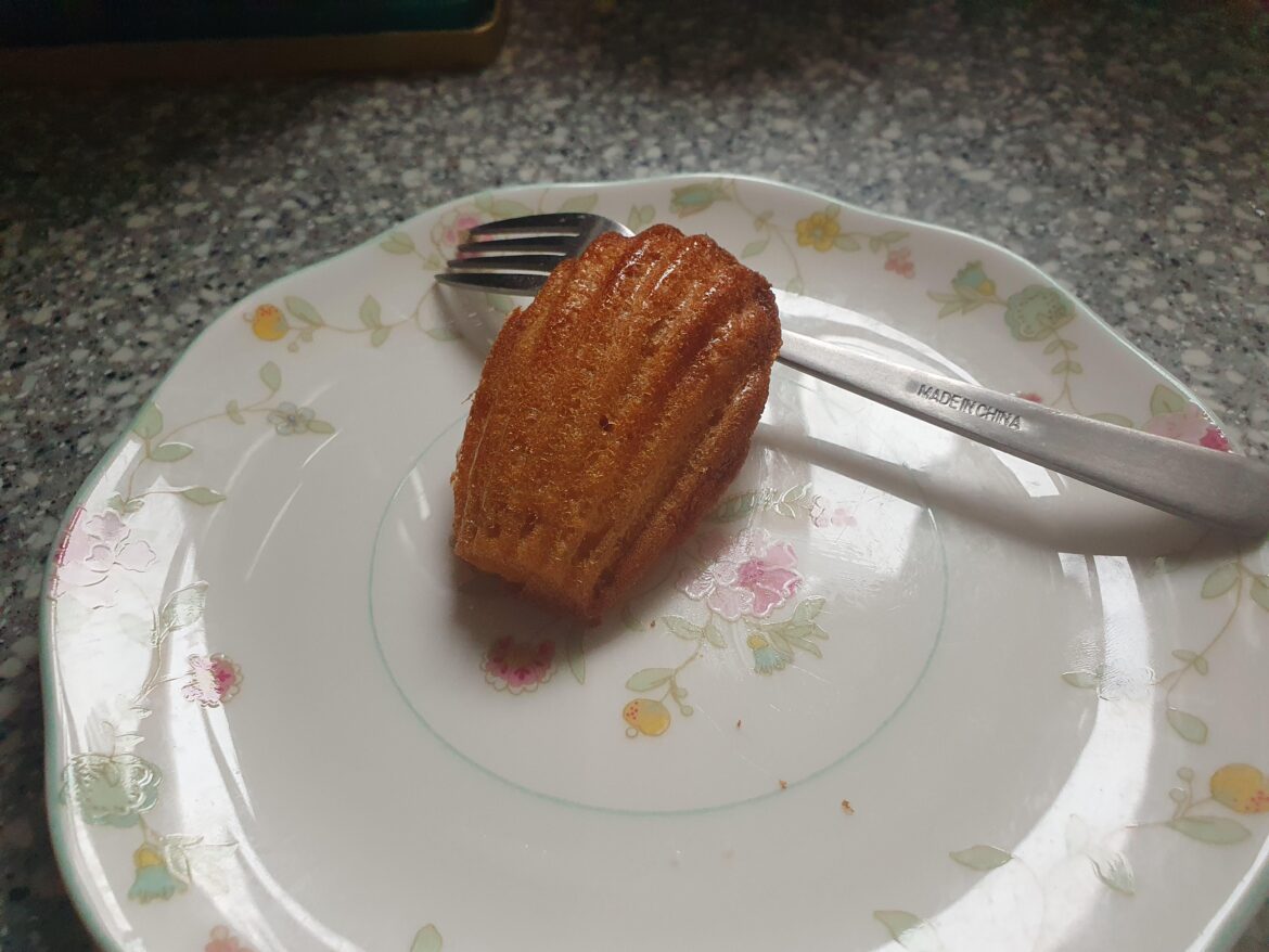 Homemade madeleine