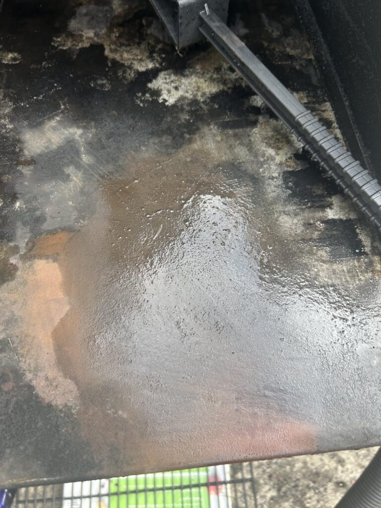 Got this for free. Rust? Should I just buy replacement parts or can I clean it?