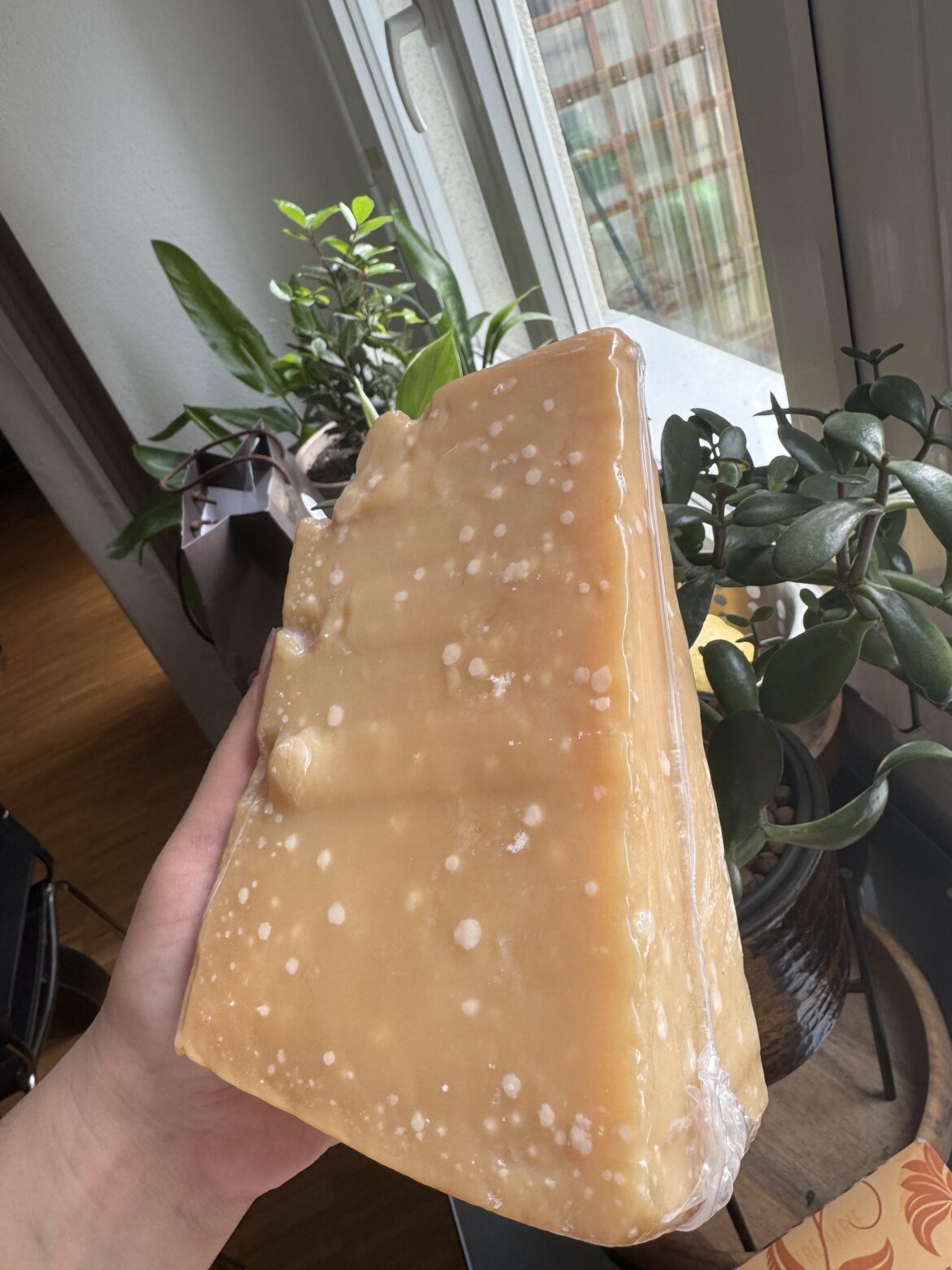 70month old Parmegiano reggiano (800g) for 27 Euro.