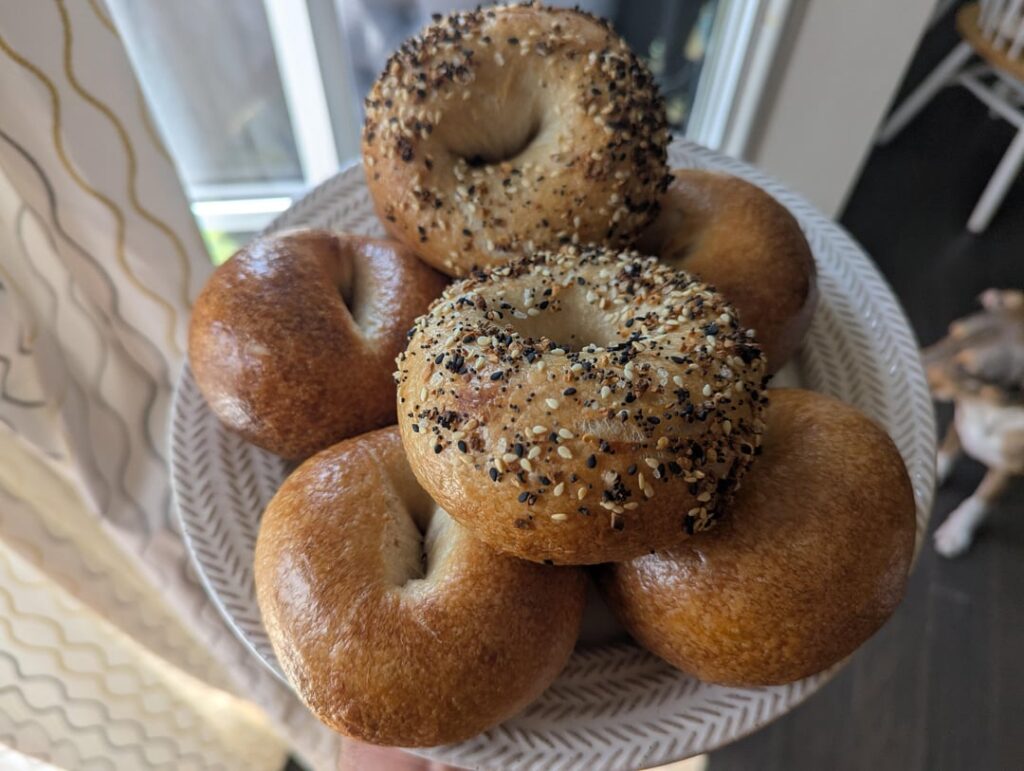 First attempt at NY style bagels