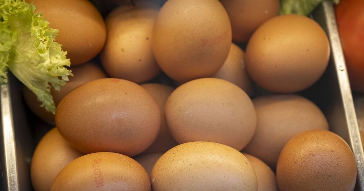 Six high-carb foods that contain more protein than an egg | UK | News Six high-carb foods that contain more protein than an egg | UK | News