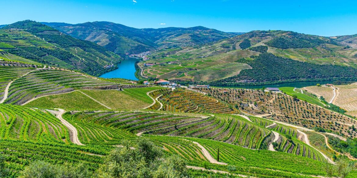 Wine Regions Better Than Napa Valley and Tuscany, From a Sommelier