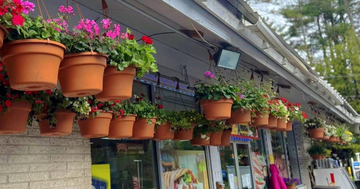 Schroon Lake gas station serves up Mediterranean menu | News