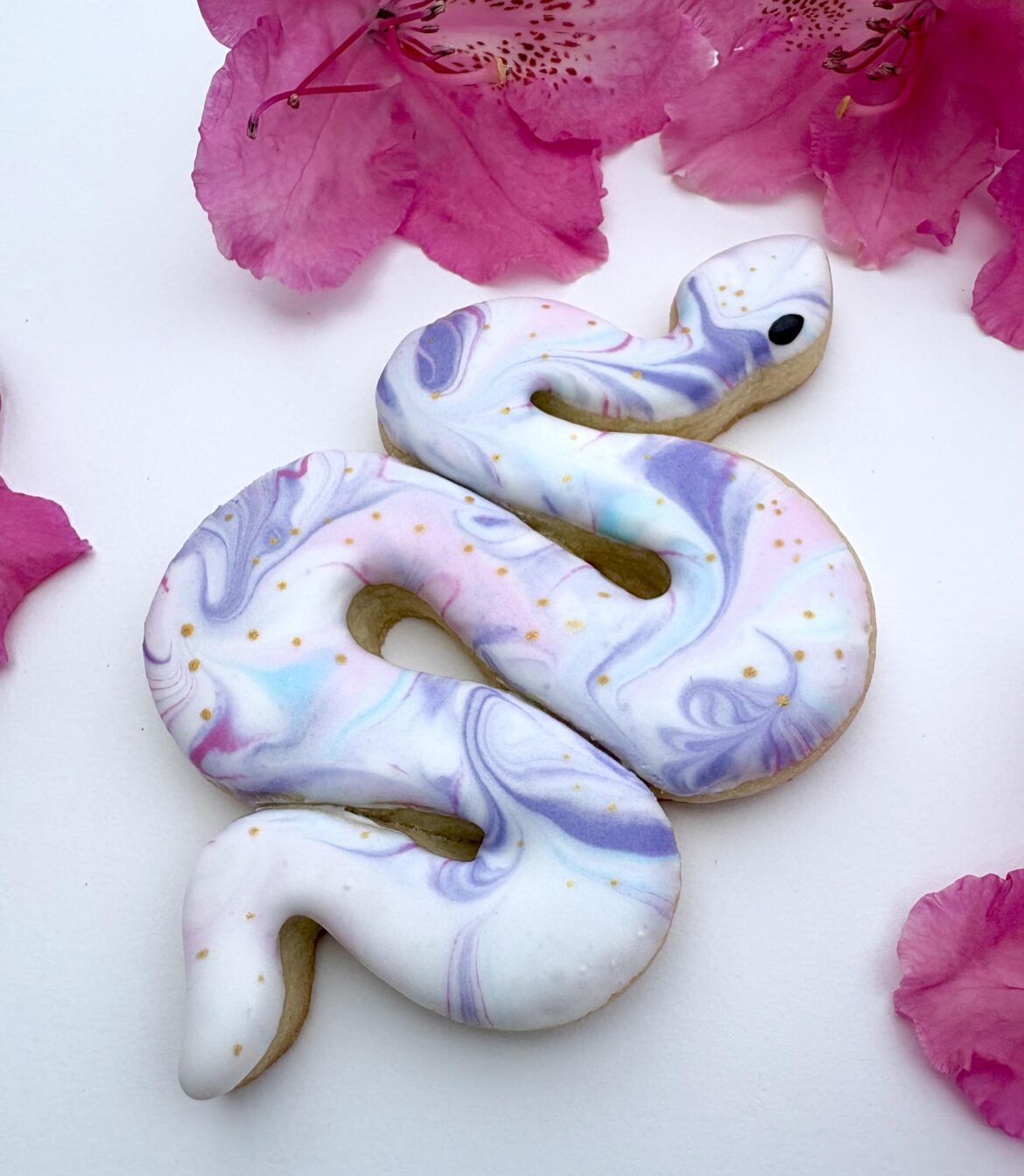Snake cookie I was trying out for a market coming up!