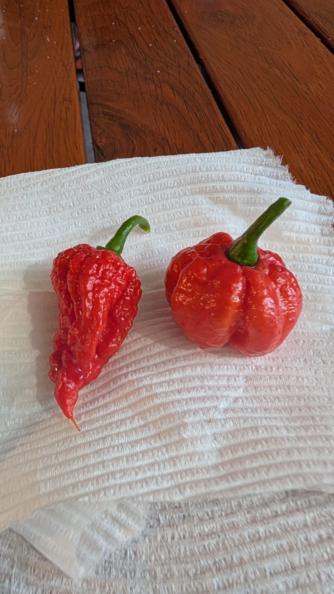 Mission Accomplished! Mission Accomplished!