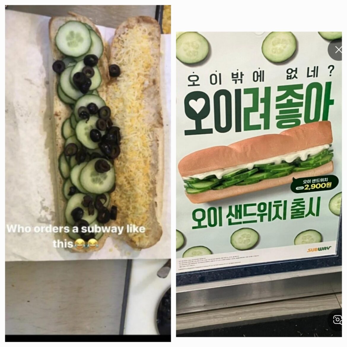 New menu in subway korea