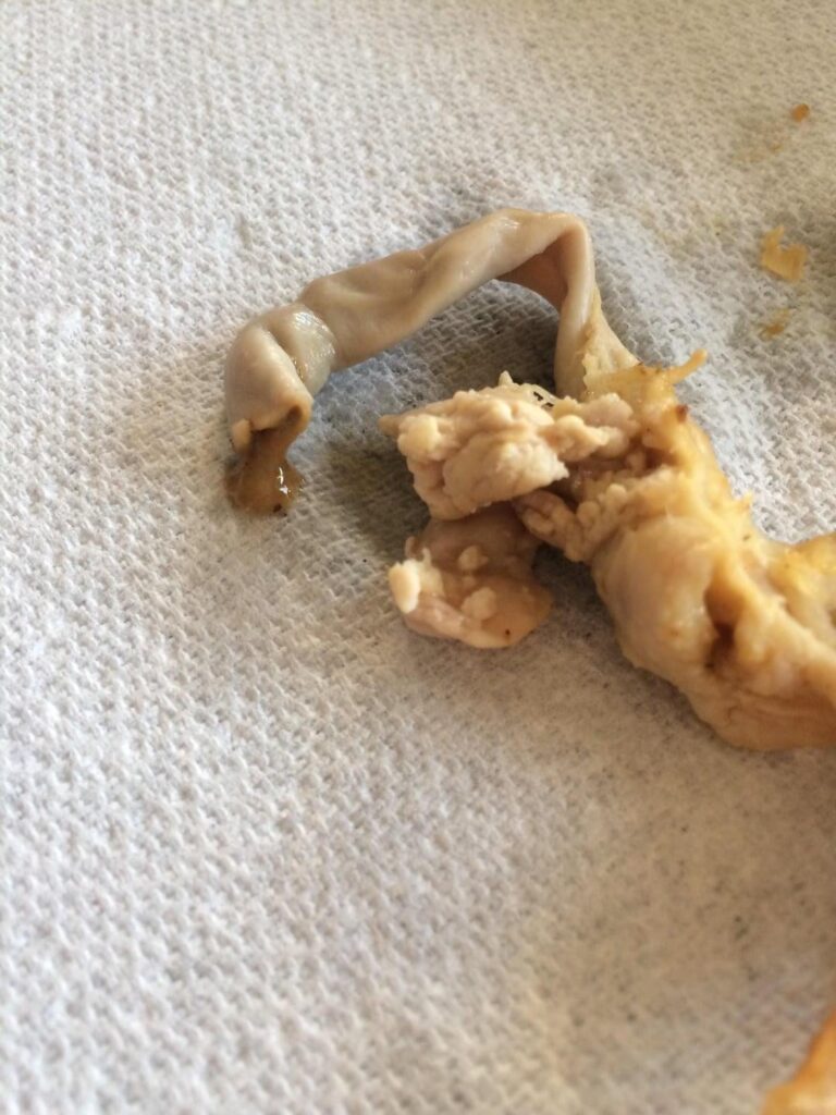 5 years ago I accidentally ate a filthy chicken butthole