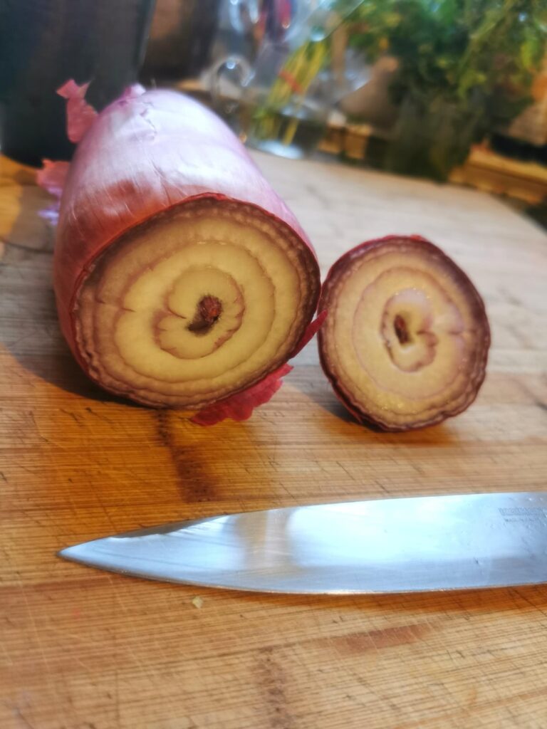 Here's the update on the longion ✌🏻