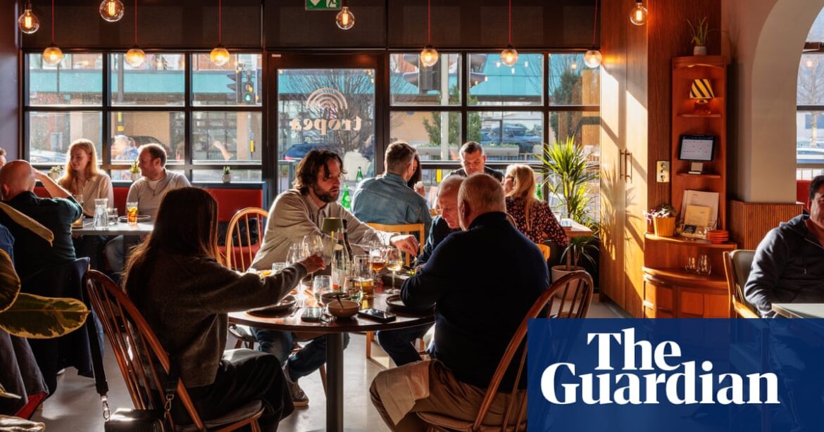 Tropea, Harborne, Birmingham: ‘A forward-thinking take on the Italian trattoria’ – restaurant review | Italian food and drink