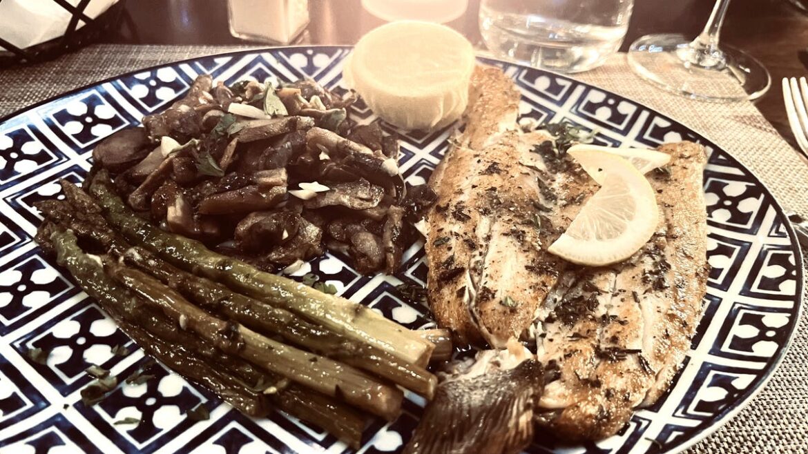 Best Mediterranean food Sebastian Stuart Vero Jensen Beach St Lucie Best Mediterranean food Sebastian Stuart Vero Jensen Beach St Lucie