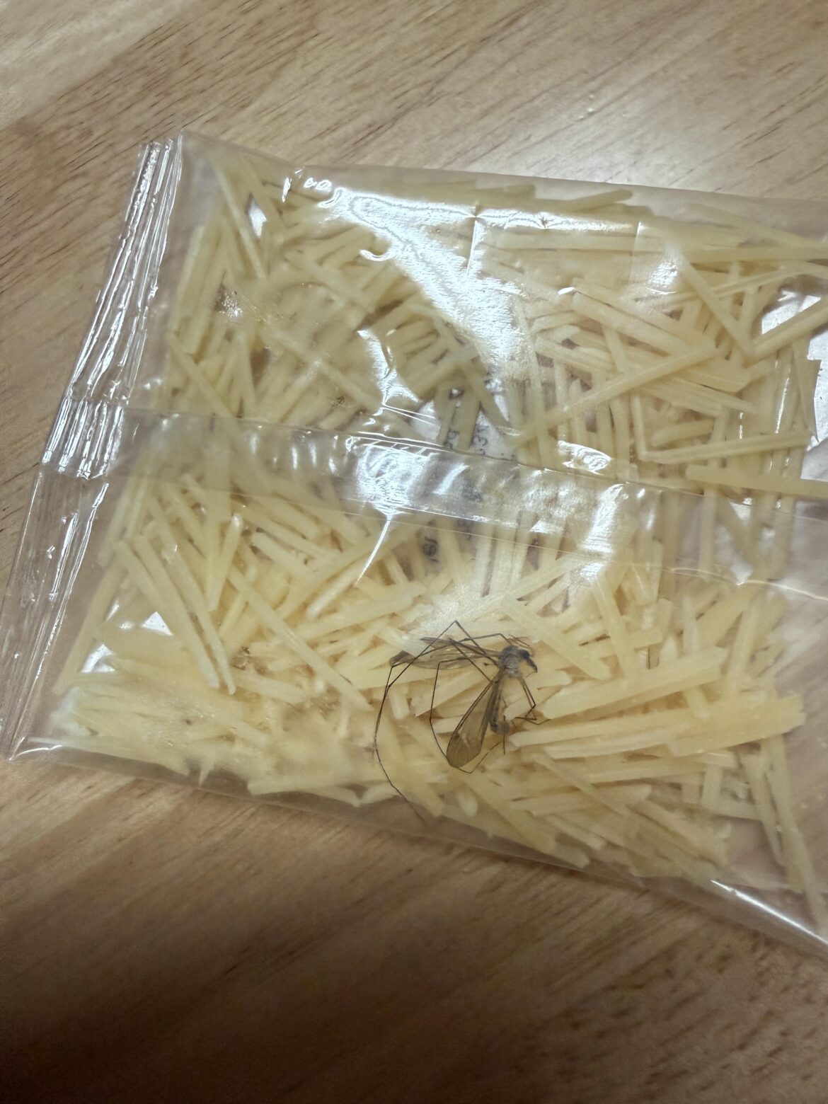 Sooooo yall got bugs in your packaging facility now….?