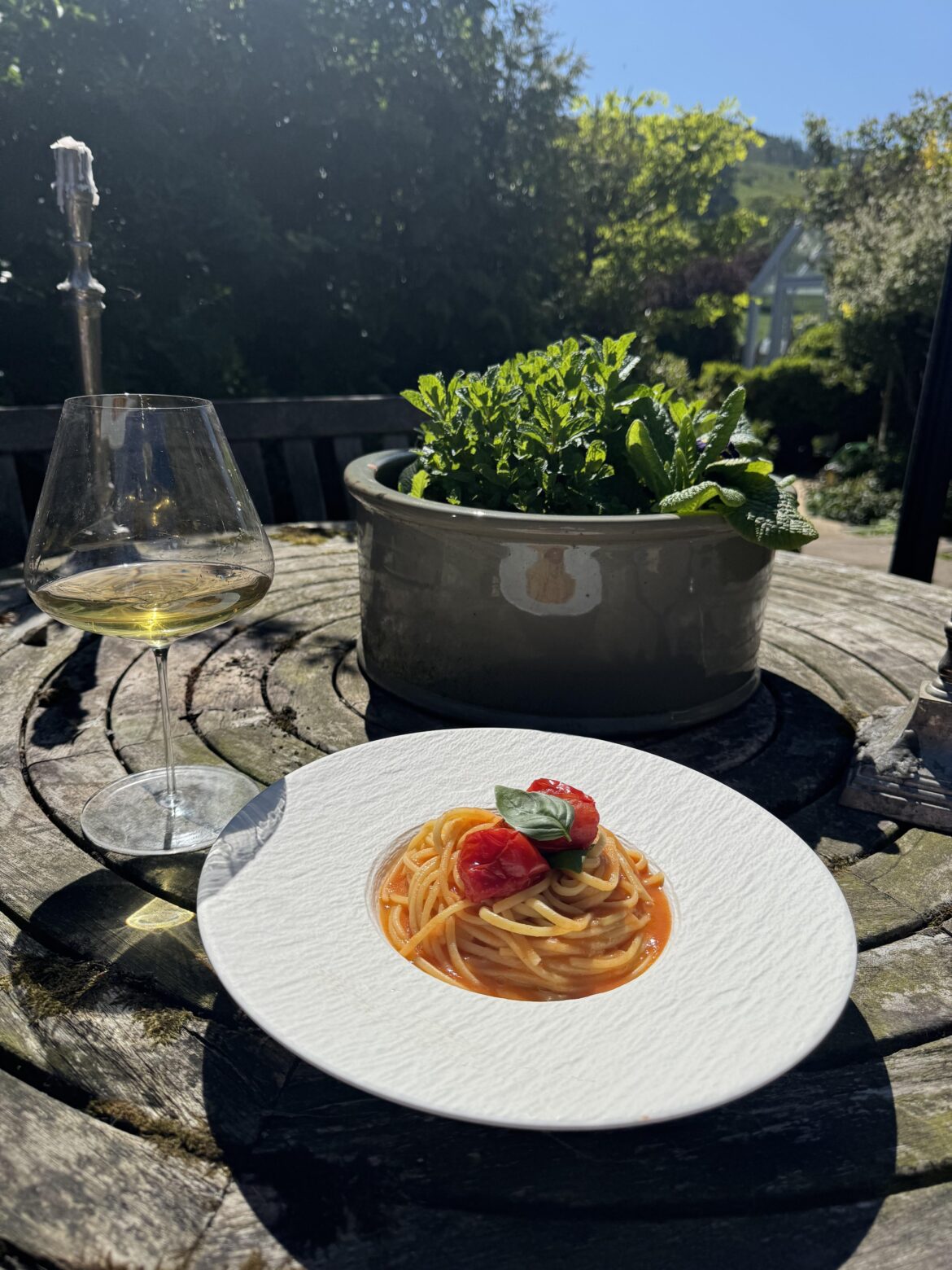 Spaghetti with pomodoro and Basil