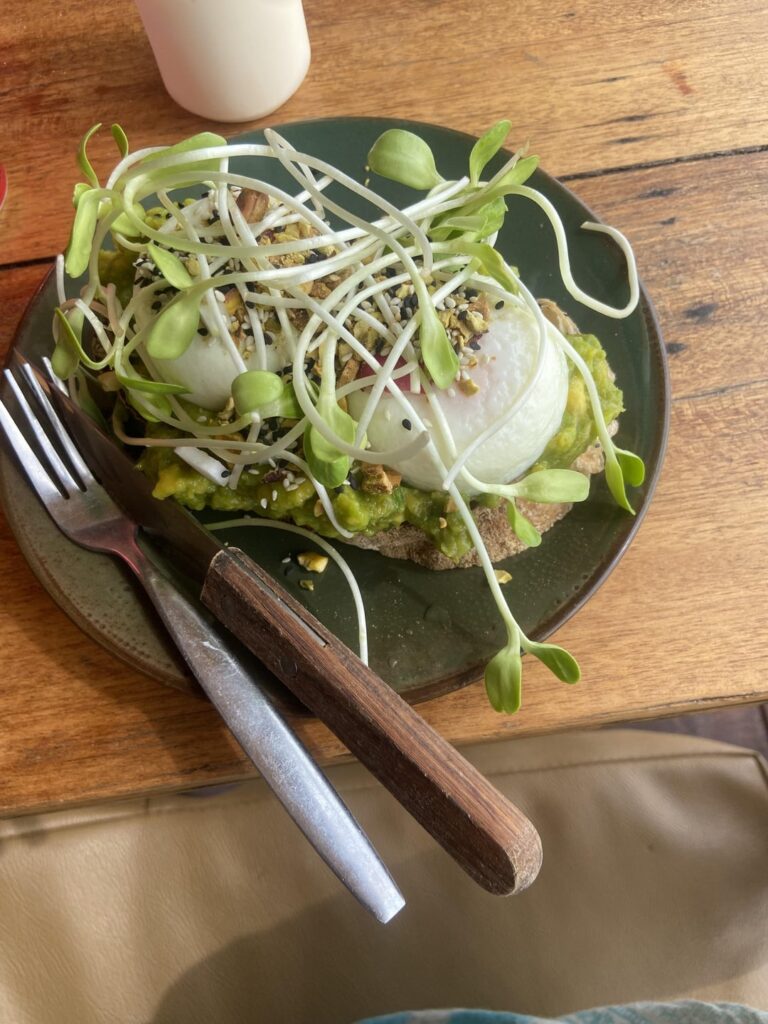 Avocado and poached eggs on multigrain bread