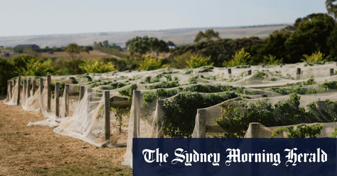 Good Weekend’s Australia’s 20 top wineries of 2025 Good Weekend’s Australia’s 20 top wineries of 2025