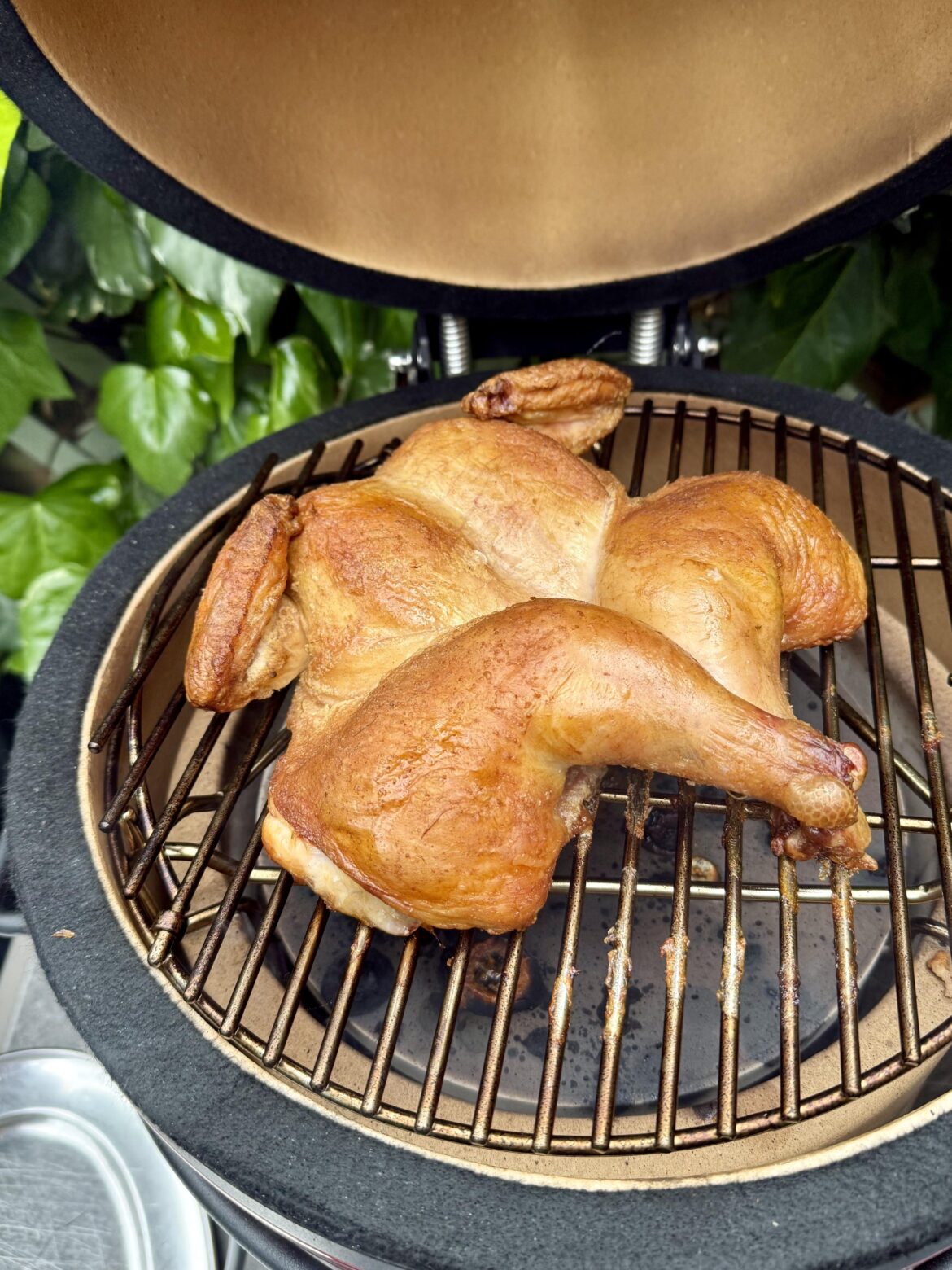 First use of Joe Jnr and cook my best ever BBQ chicken