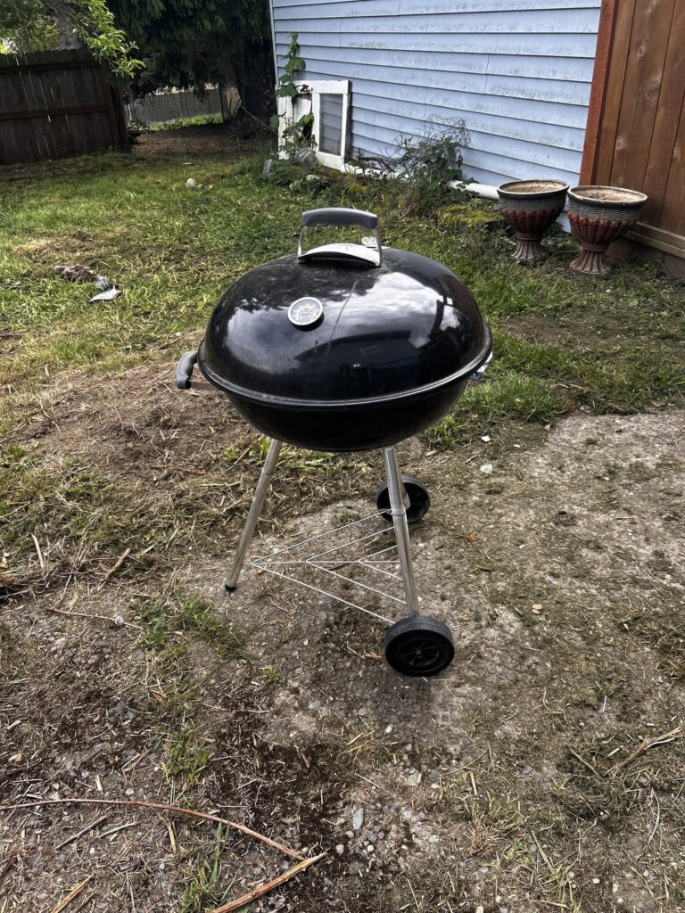 Scored this bad boy on craigslist for free .99.  Featuring Petunia, the pit boss.