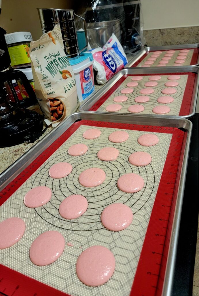 Macaron 45 shells.