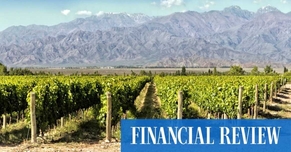 Argentina’s wine heartland eyes copper riches under President Javier Milei Julie Bishop.
