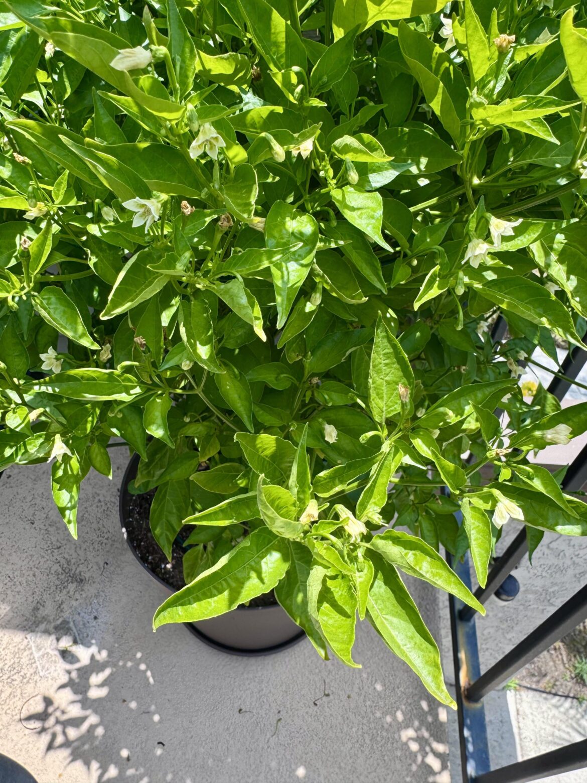 Should I be concerned?