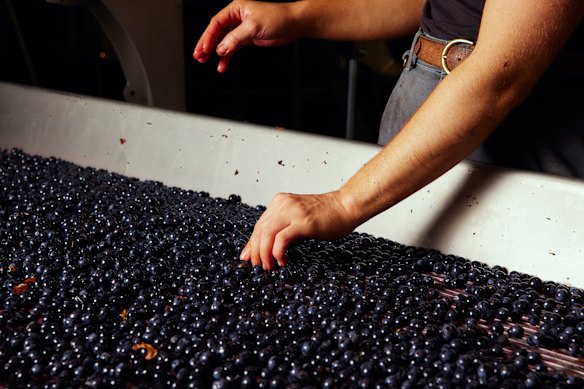 Yarra Yering, Yarra Valley, Vic.