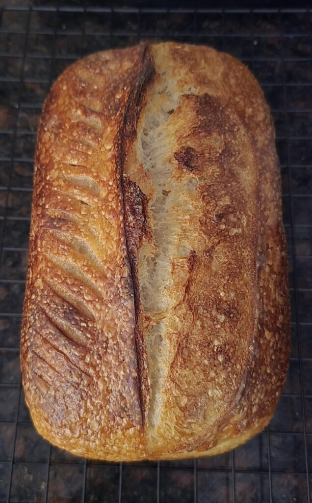 First time baking in the loaf pan! Might like this more than the dutch oven method