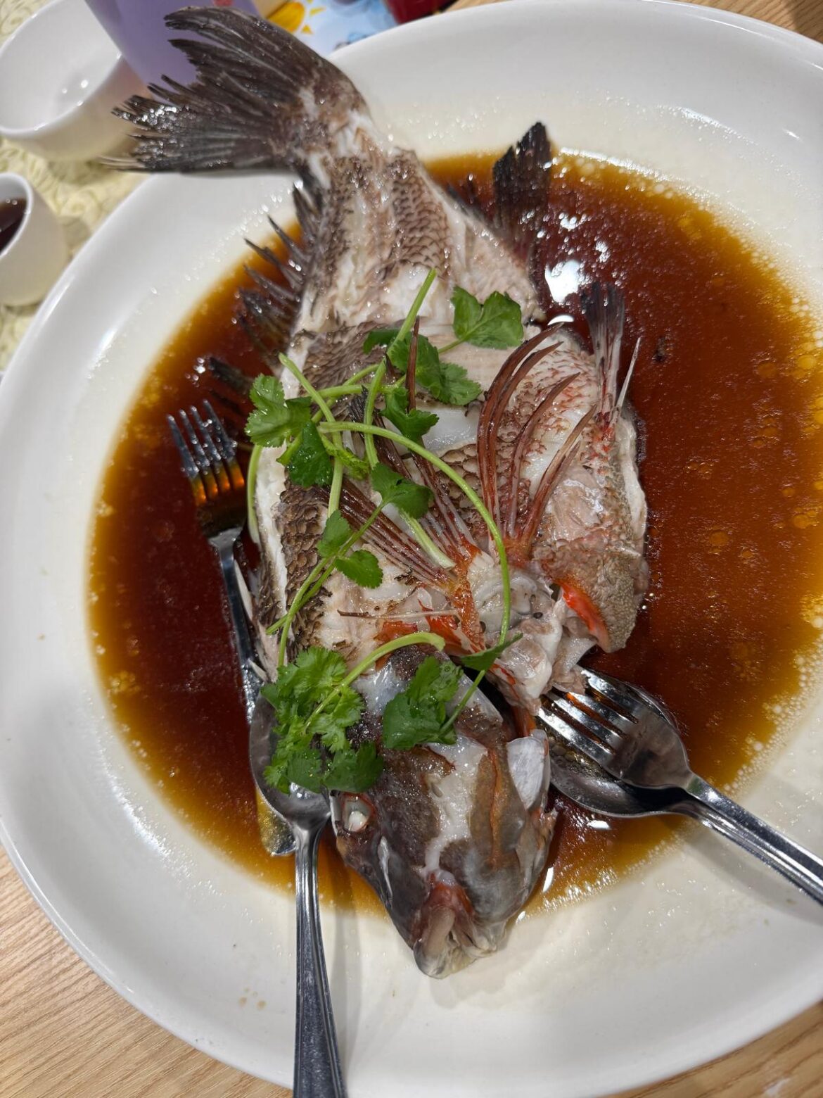 Is this coral trout? Friend paid $238 for it, and debating if it coral trout or not, which is about $100 per kg in Australia here.