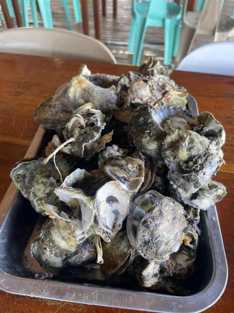 This oyster was big and yummy. I was told to post this.