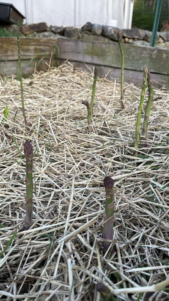 It's that time of year...