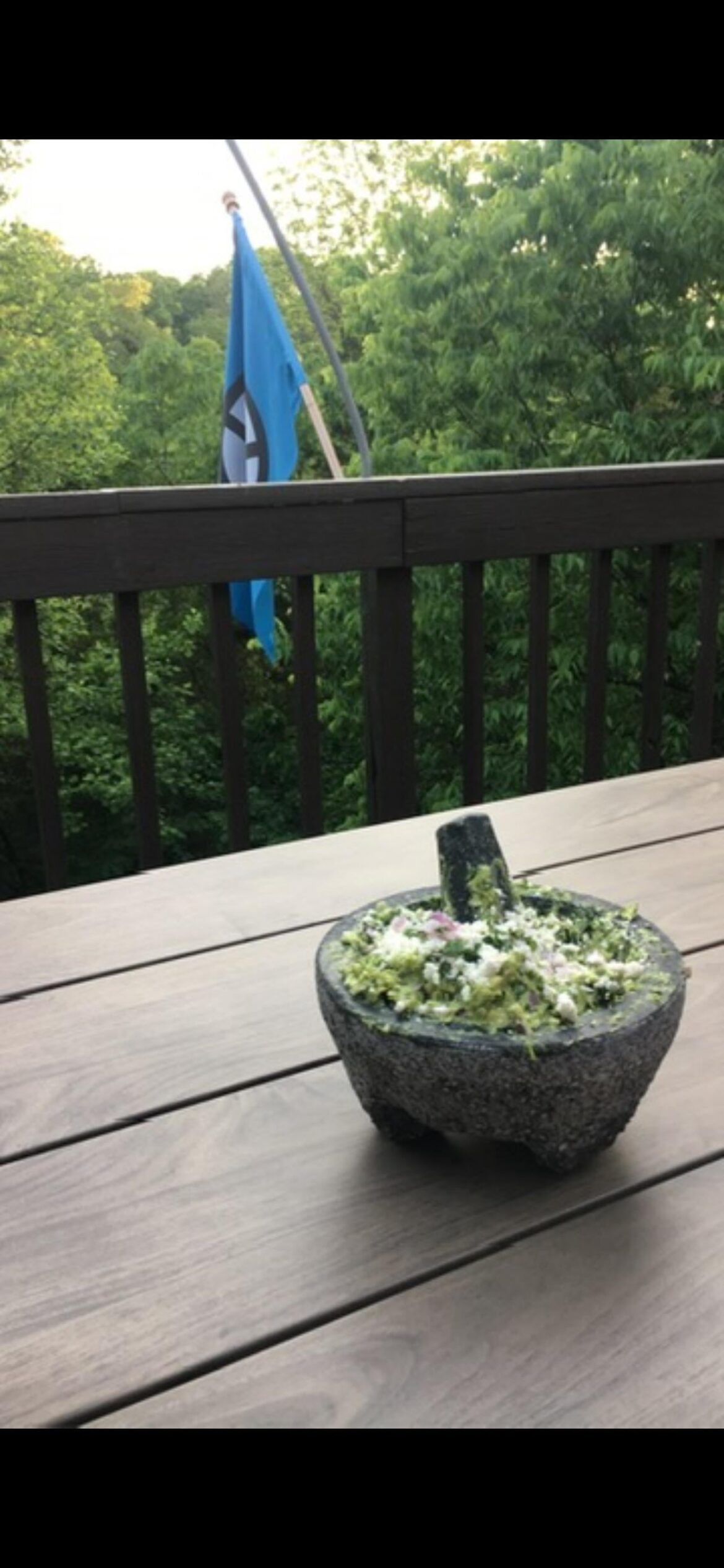 Feta & Date guacamole is supreme