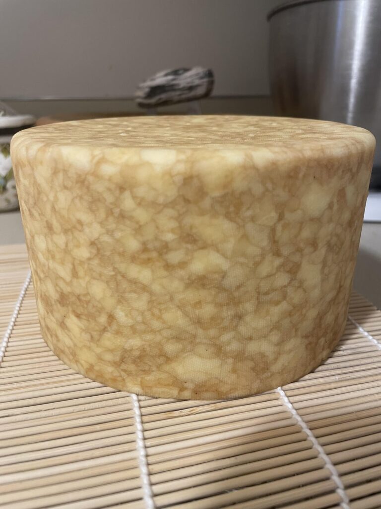 Homemade coffee and chicory stout washed curd cheese