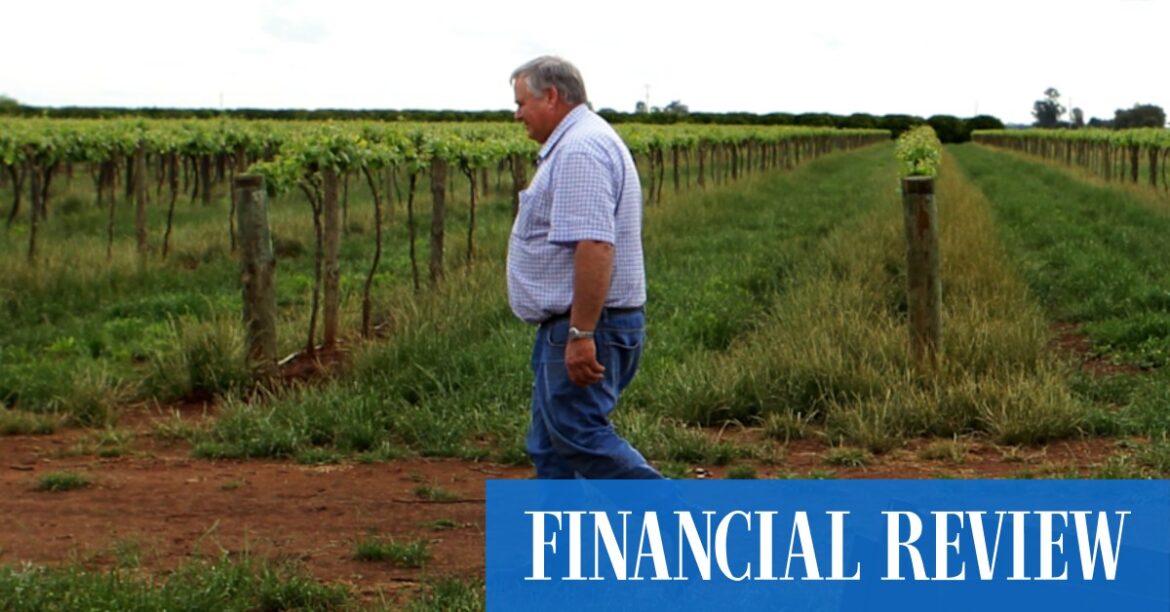 Bulldozers in the vineyards a poor omen for struggling winemakers Simon Evans