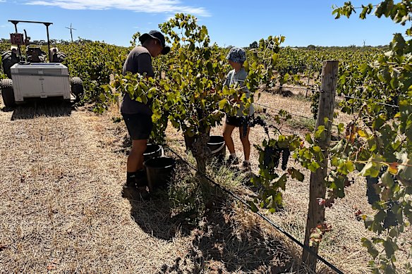 Eisenstone, Barossa Valley, SA.